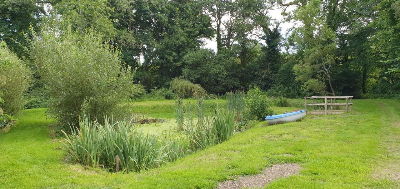 Farmhouse B&B Family Stay Or Romantic Break, On Our Smallholding Close To Narberth Esterno foto