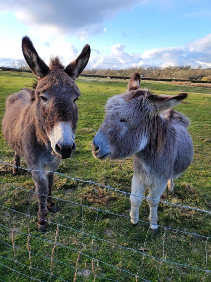 Farmhouse B&B Family Stay Or Romantic Break, On Our Smallholding Close To Narberth Esterno foto